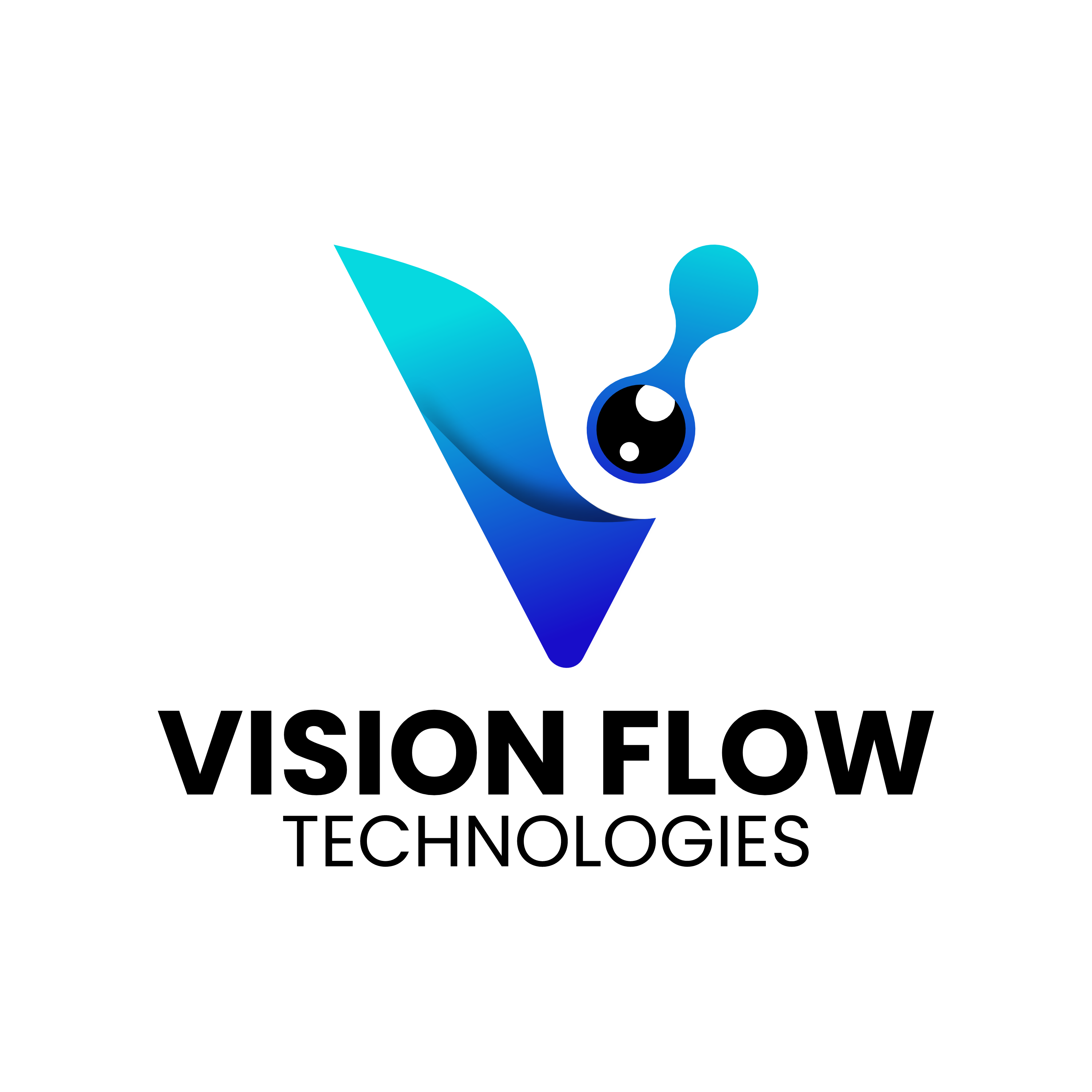 Vision Flow Technologies